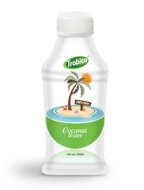 Coconut water 250ml bottle (2)